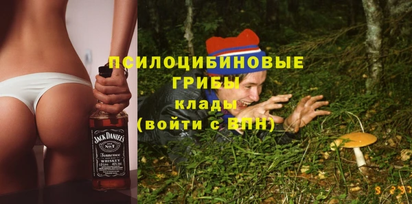 МДПВ Вязьма