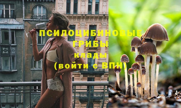 бошки Вязники