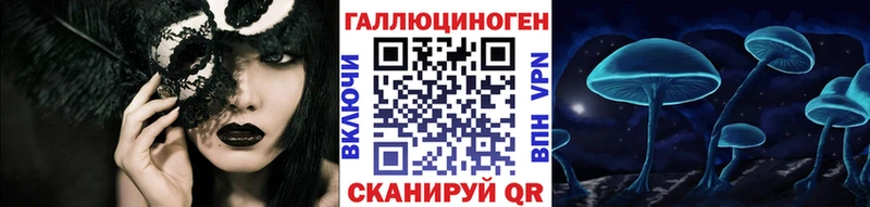 Купить закладки  Петров Вал  Псилоцибиновые грибы MAGIC MUSHROOMS 